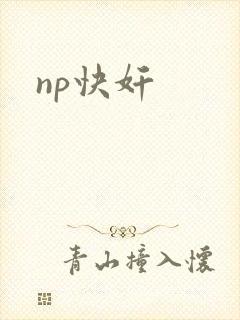 np快奸