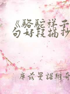 《骆驼祥子》好句好段摘抄