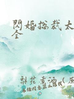 闪婚总裁太霸道全