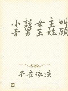小说女主叫沈佳音男主姓顾
