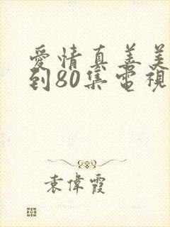 爱情真善美41到80集电视剧