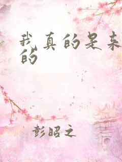 我真的是来追星的