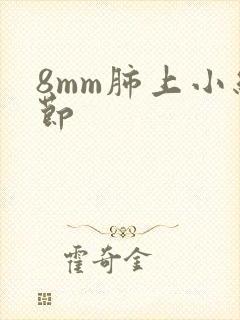 8mm肺上小结节