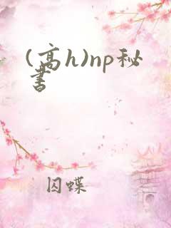 (高h)np秘书
