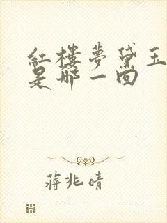 红楼梦黛玉葬花是哪一回