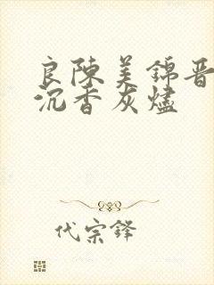 良陈美锦晋江 沉香灰烬