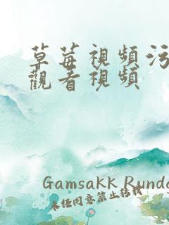 草莓视频污在线观看视频