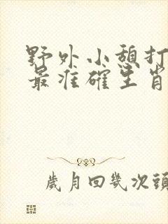 野外小憩打一个最准确生肖