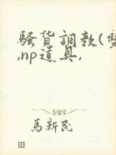 骚货调教(双性,np道具,