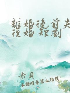 离婚后,前夫求复婚 短剧