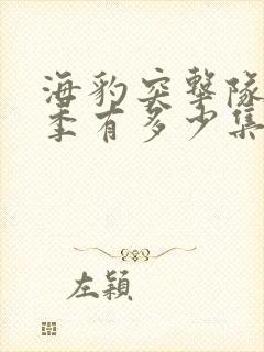 海豹突击队第一季有多少集