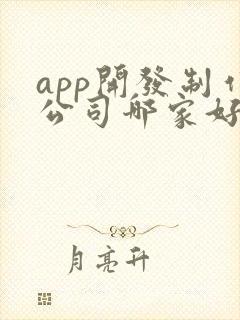 app开发制作公司哪家好
