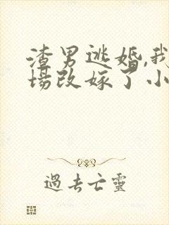 渣男逃婚,我当场改嫁了小说版