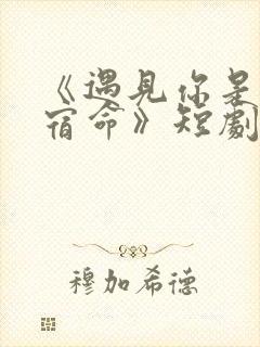 《遇见你是我的宿命》短剧