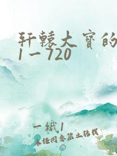 轩辕大宝的小说1一720