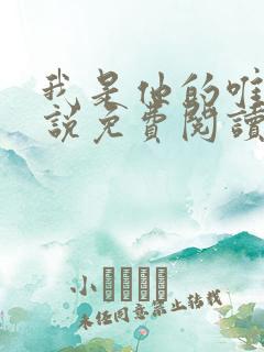 我是他的唯一小说免费阅读