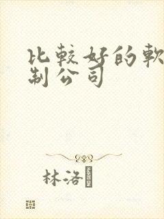 比较好的软件定制公司