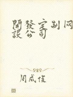 开发定制网站建设公司