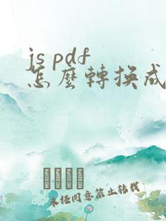 js pdf 怎么转换成word 文档
