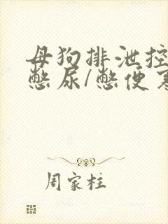 母狗排泄控制/憋尿/憋便寒良