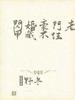 闪婚豪门老公马甲藏不住