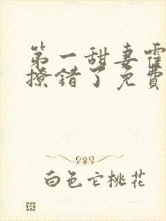 第一甜妻霍先生撩错了免费