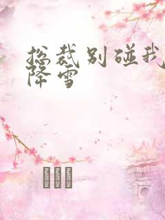 总裁别碰我 韩降雪