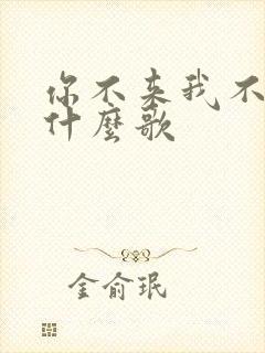 你不来我不老是什么歌