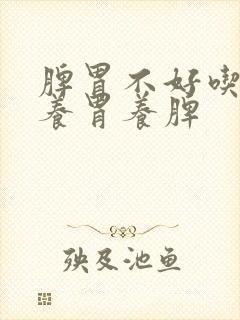 脾胃不好吃什么养胃养脾