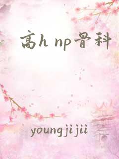 高h np骨科