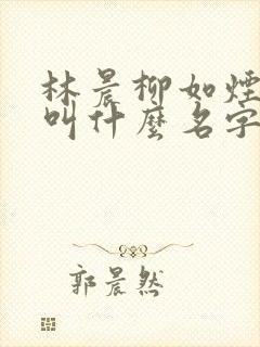 林晨柳如烟小说叫什么名字来着