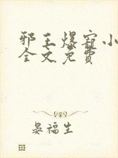 邪王爆宠小辣妃全文免费