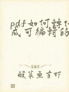 pdf如何转化成可编辑的word文档