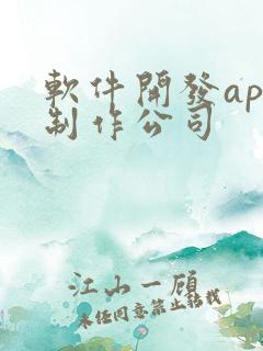 软件开发app制作公司