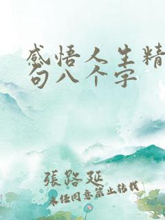 感悟人生精辟短句八个字