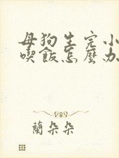 母狗生完小狗不吃饭怎么办呢