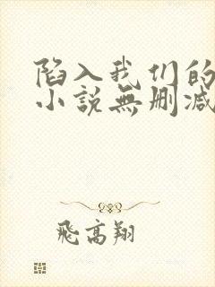 陷入我们的热恋小说无删减版