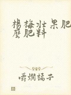 杨梅壮果肥是什么肥料
