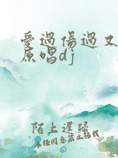 爱过伤过又错过原唱dj