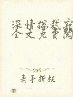 深情总裁宠不停全文免费阅读