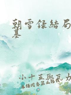 朝雪录结局谁登基