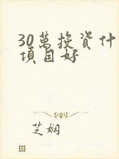 30万投资什么项目好