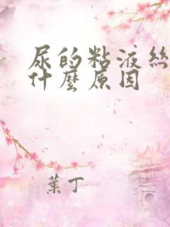 尿的粘液丝高是什么原因