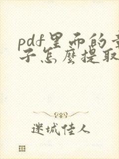 pdf里面的章子怎么提取出来