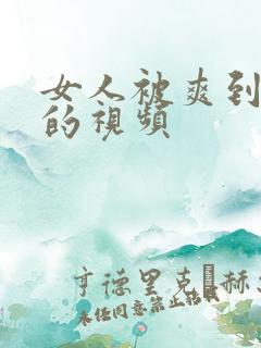 女人被爽到高潮的视频