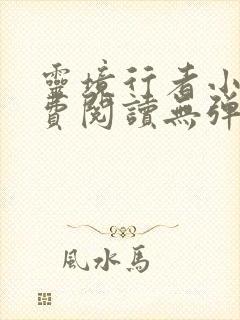 灵境行者小说免费阅读无弹窗