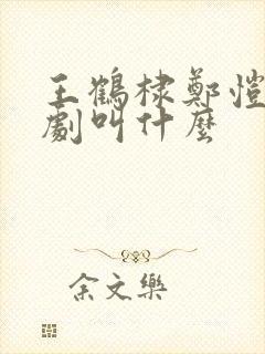 王鹤棣郑恺电视剧叫什么