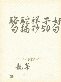 骆驼祥子好词好句摘抄50句