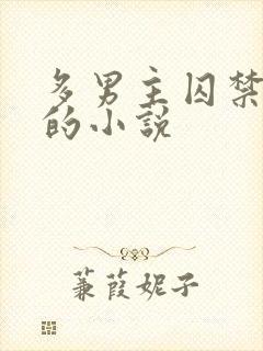 多男主囚禁一主的小说