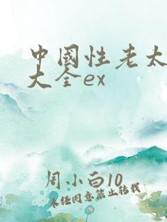 中国性老太hd大全ex